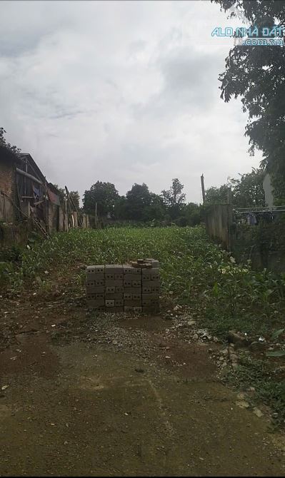 2,3 tỷ sở hữu đất Ba Vì 375m2 có 160m đất ở, view núi đồi cực đẹp, đường ô tô tránh - 4