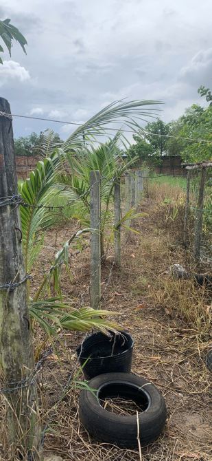 CẦN BÁN LÔ ĐẤT RẺ ĐEP CÁCH PHỐ ĐI BỘ BÃI BIỂN HỒ TRÀM CHỈ 2km - 4