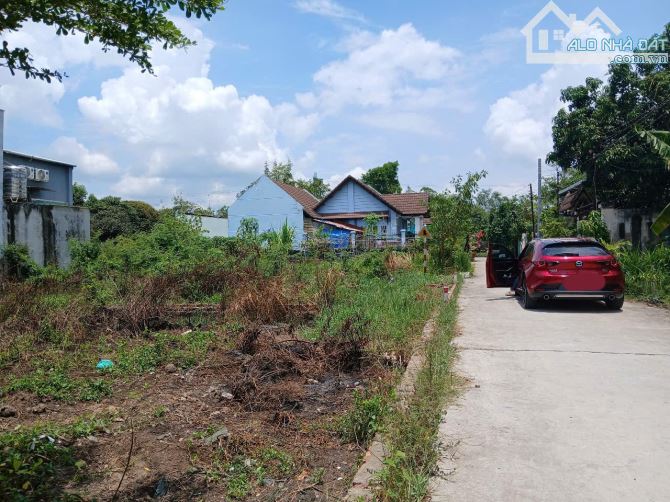 Bán đất full thổ cư đối diện 3030B Hùng Vương - Xã Phú Đông ngang 10m - 4