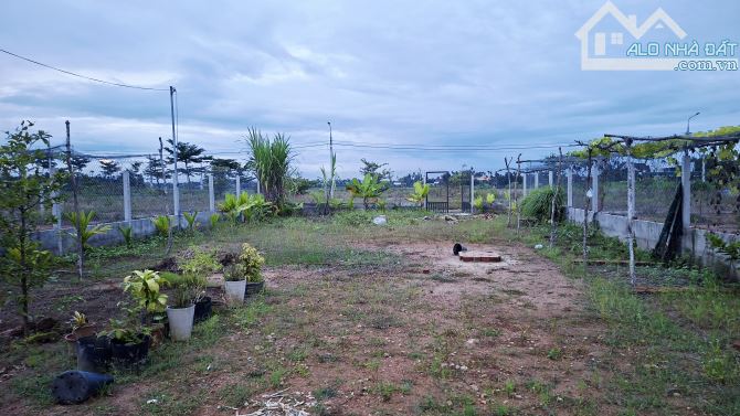 Bán lô đất Biệt thự 300m2 (12x25)m, đã xây tường rào cổng ngõ siêu đẹp, Nghĩa Kỳ, Tư Nghĩa - 8