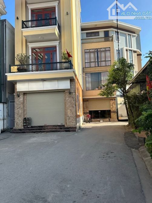 Bán đất Tôn Đức Thắng, Sở Dầu, Hồng Bàng,  100m2, 6,7 tỷ. - 5