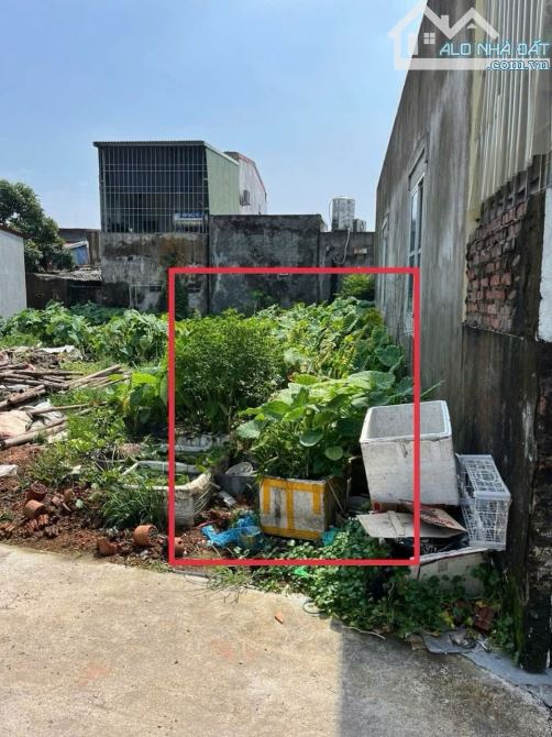 Bán Đất Lương Quán, Nam Sơn, An Dương,  HP. 1,25 tỷ, 61m2. - 5