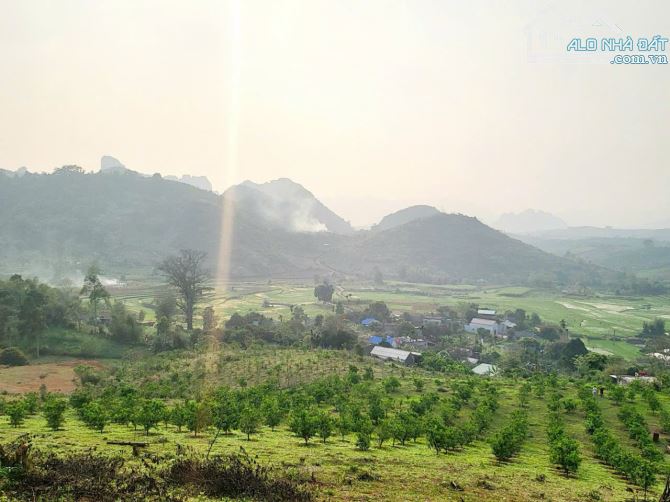 BÁN SIÊU PHẨM LÔ ĐẤT 6750M TẠI CAO PHONG HB VIEW THIÊN NHIÊN SIÊU ĐẸP GIÁ 3.X TỈ - 5
