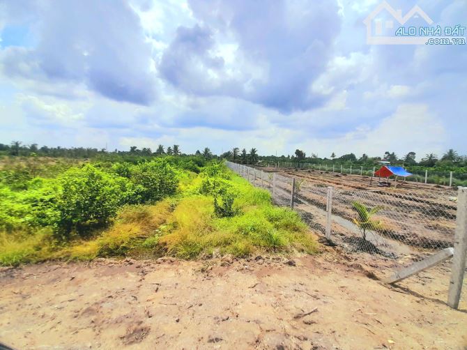Siêu phẩm, 1000m2 đất vườn View Kênh cực đẹp, 570tr - 5