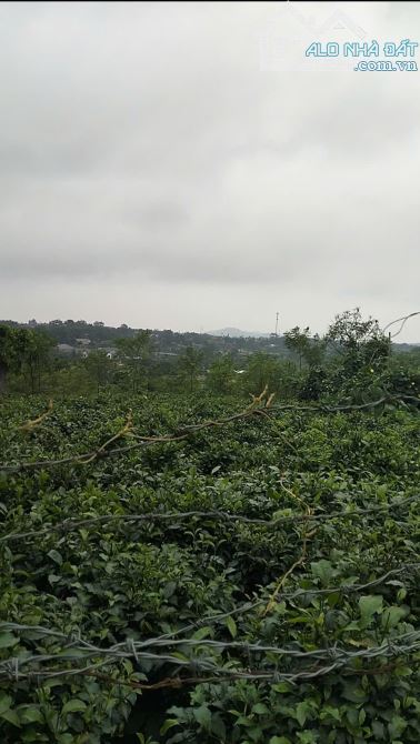 2,3 tỷ sở hữu đất Ba Vì 375m2 có 160m đất ở, view núi đồi cực đẹp, đường ô tô tránh - 5