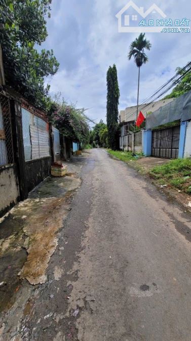 Bán Nhà đất đối diện Đại Học Tây Nguyên - 5