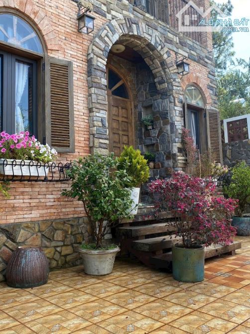 Biệt thự sang trọng _kiến trúc Châu Âu nằm dưới tán thông _ Tp Đà Lạt - 6