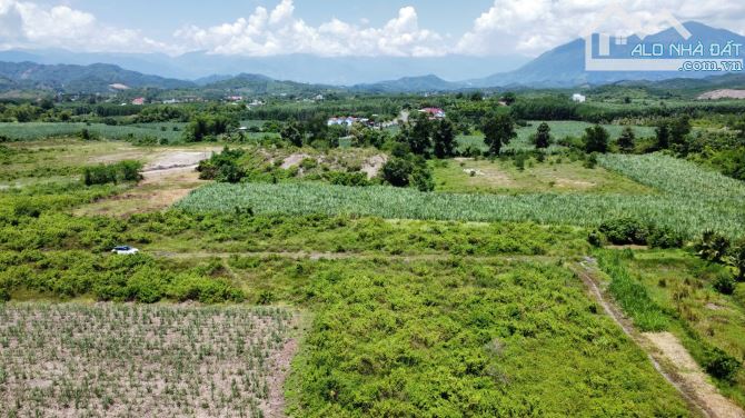 Hạ giá cần bá.n lô Sông Cầu- Khánh Vĩnh- Nha Trang - 5