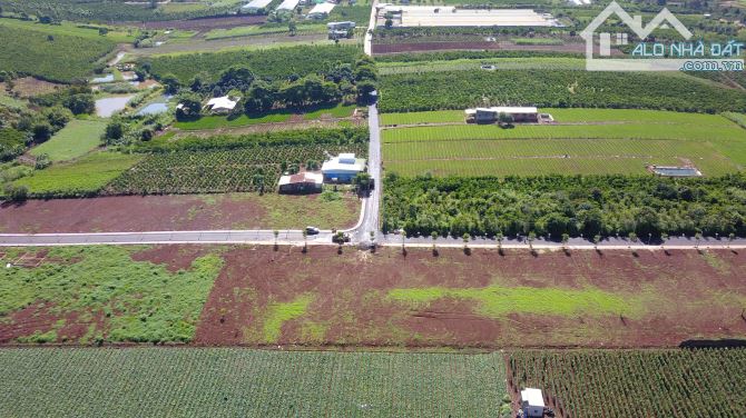 Đất nghỉ dưỡng làng Thanh Bình 810Tr/ nền sổ hồng view săn mây Cách Liên Khương chỉ 10km - 6