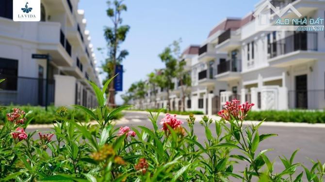 🅰️BÁN CĂN BIỆT THỰ LAVIDA SONG LẬP - 6