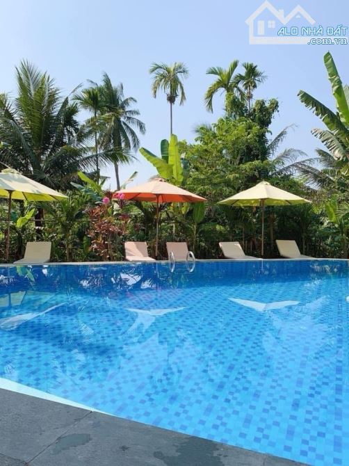 💎VILLA HỒ BƠI ĐẲNG CẤP – CỬA ĐẠI – NGANG 9M – 19T💎 - 6