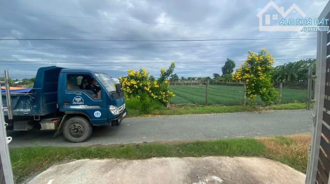 Cần Giuộc Biệt thự mini SHR  biệt lập view đẹp mặt tiền đường nhựa giá đầu tư. - 6