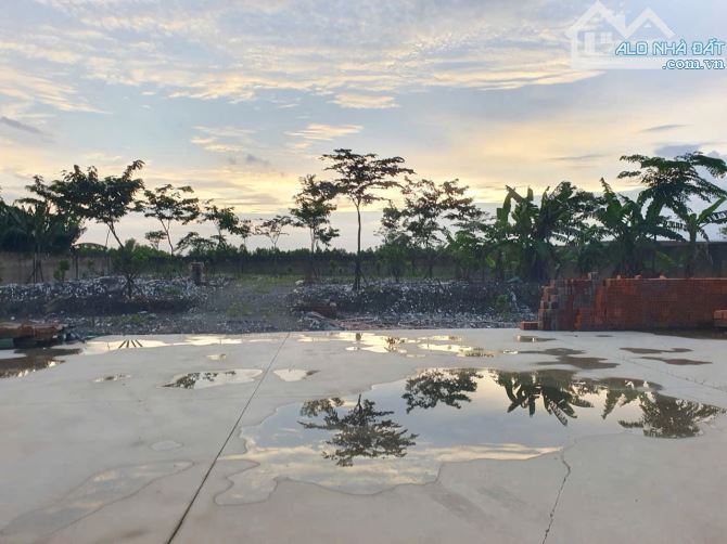 XT533 Cho thuê cưởng MT gần 2000m2 Thiện Tân Vĩnh Cửu ĐN - 7