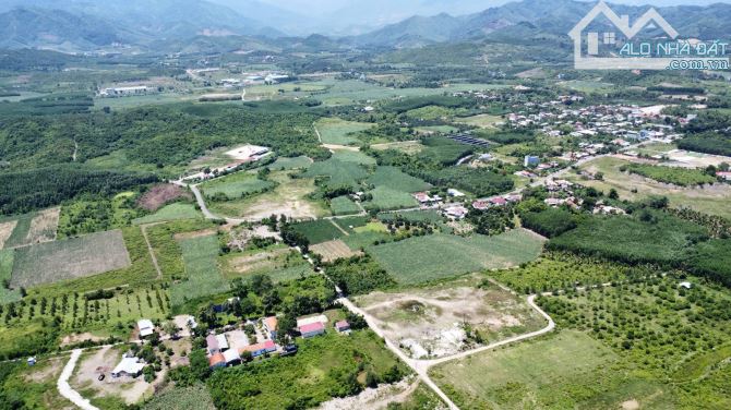 Hạ giá cần bá.n lô Sông Cầu- Khánh Vĩnh- Nha Trang - 6