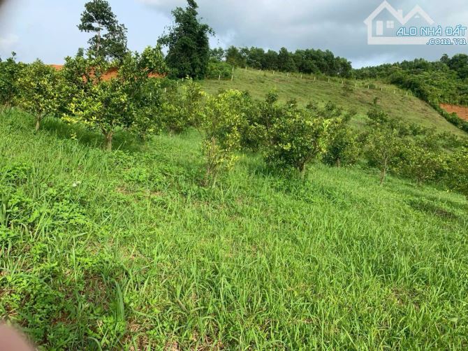 BÁN SIÊU PHẨM LÔ ĐẤT 6750M TẠI CAO PHONG HB VIEW THIÊN NHIÊN SIÊU ĐẸP GIÁ 3.X TỈ - 7