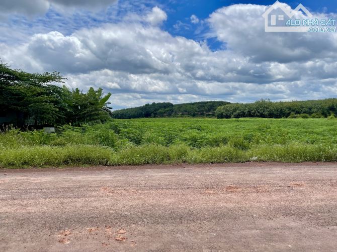 3500m2 đất sau chợ Đồng Phú trục chính liên xã Tân Lợi giá 2.5 tỉ - 7