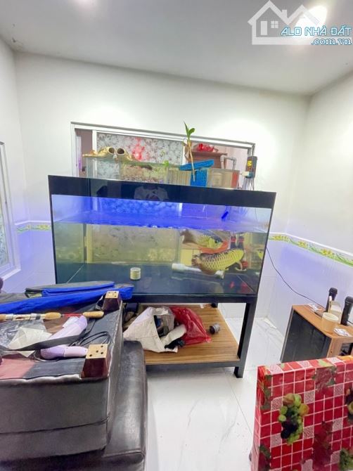 Bán nhà P5 Q11 Lạc long Quân 45m2 2 tầng.KHÔNG QUY HOẠCH, LỘ GIỚI ~4TỶ - 8