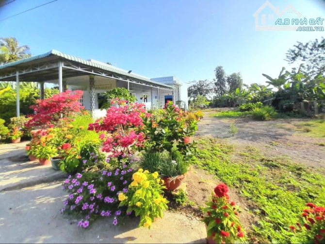 Quá đẹp, 580tr sở hữu 155m2 đất thổ cư sát chợ Tân Trụ - 8