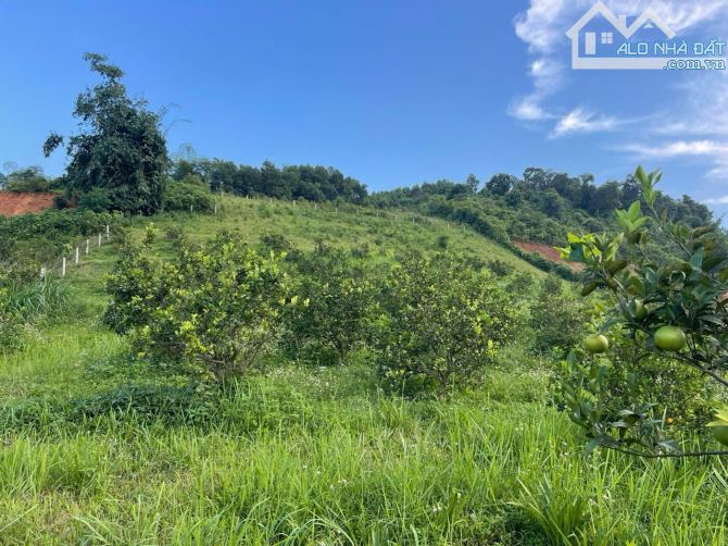 BÁN SIÊU PHẨM LÔ ĐẤT 6750M TẠI CAO PHONG HB VIEW THIÊN NHIÊN SIÊU ĐẸP GIÁ 3.X TỈ - 8