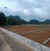 ĐẤT VEN ĐƯỜNG HỒ CHÍ MINH- CẠNH KHU CÔNG NGHIỆP LỚN