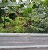 - Đất Thổ Cư, đường 8m, Thạnh lộc 19- chợ Cầu Đồng,Thạnh Lộc Q12,dt:72m2 (4mx18m),4.3tỷ.