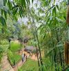 PHÂN LÔ QUÂN ĐỘI PHÙNG CHÍ KIÊN – 60M², Ô TÔ VÀO NHÀ, VIEW THOÁNG