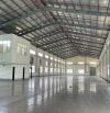 Cho Thuê 2.500m2 – 4.500m2 – 7.000m2 Nhà Xưởng Trong KCN Bến Cát, Bình Dương PCCC Tự Động