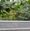 bán đất thổ cư đường THẠNH LỘC 29 ,phường THẠNH LỘC Q12, dt80m²(4,5x18).Đường 6m💰4,3tỷ