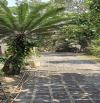 Bán nhà vườn Nguyễn Thị Chiên, Tân An Hội, Củ Chi: 13.381m2, giá 30 tỷ.