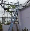 Quá đẹp căn lô góc 5 tầng 4 phòng hẻm 5m thông 5x14m 6,75 tỷ Quang Trung P14 Gò Vấp
