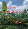 ĐẤT 67M² – LÒ LU LONG TRƯỜNG – 1 XẸT MT 50M – GIÁ 4T5