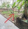 BÁN ĐẤT_DƯƠNG ĐỨC HIỀN, KIM SƠN– CƠ HỘI VÀNG ĐẦU TƯ– SÁT HỒ_41m2, 2,95 tỷ