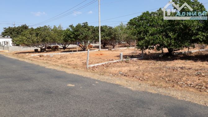 Đất Ngộp mặt tiền DT715-Mũi Né(Thiện Nghiệp-Phan Thiết)-5.800m2,có 400m2TC - 3