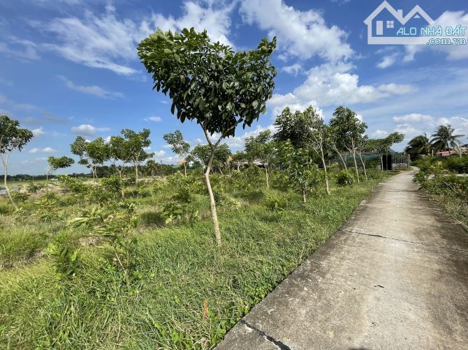 Đất thổ cư thành phố Tân An Long An