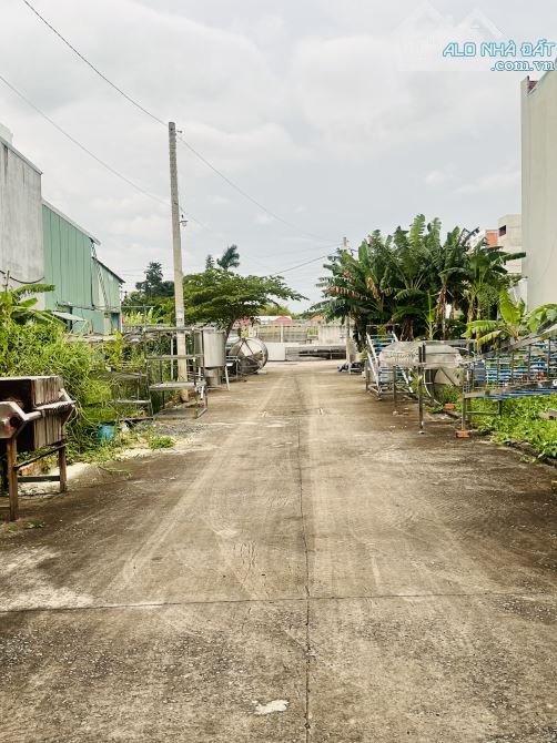 Đất FULL THỔ CƯ đường THẠNH XUÂN 25 phường THẠNH XUÂN Q12 DT 106,4m2 (4x27) hẻm 6m💰4,2Tỷ