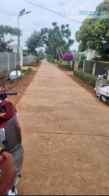 21m Đất Mặt tiền Bê tông Xã Ninh Gia khu dân cư