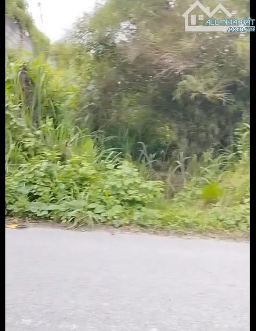 Bán đất Hương lộ 6, P. Tân Triều (Thạnh Phú cũ) 150m đường 8m