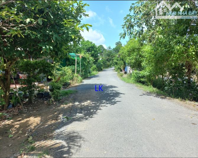 🔰Bán 7.000m² (39m x 189m, 378m² thổ, còn lại đất lúa) 🔰Đường nhựa 3.5m, xã Mỹ Thọ