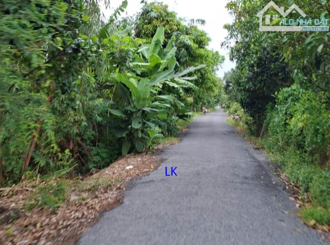 🔰 Bán vườn mít: 3.000m² (Mặt tiền 15m, hậu 32m, đất lúa)  🔰 Đường nhựa 3.5m, xã Mỹ Hiệp,