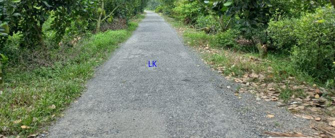 🔰 Bán đất lúa: 3.400m² (15m x 229m) 🔰 Đường nhựa 4m, xã Mỹ Thọ, Đồng Tháp.