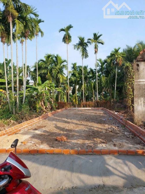 Bán đất sổ hồng  Riêng gía rẻ tại phường Thới An, Quận 12 diện tích 5x14 mét