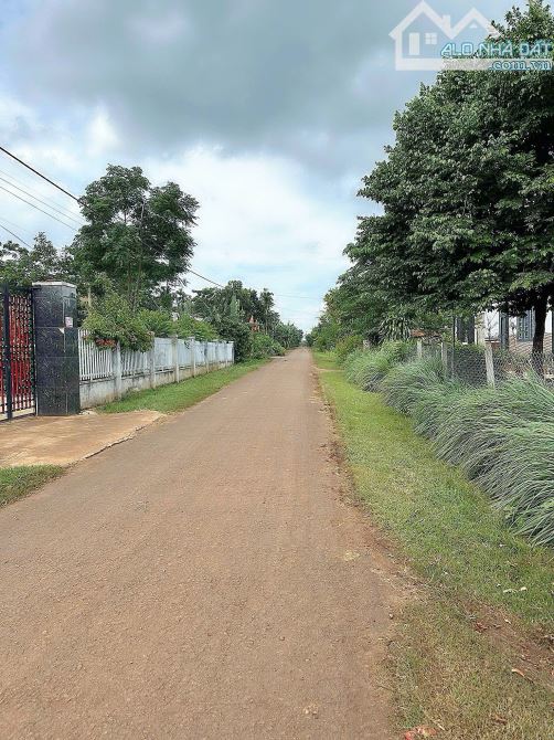 💎 Lô TC 5x30m Ea tiêu, cách đường Hồ Chí Minh chỉ 1km