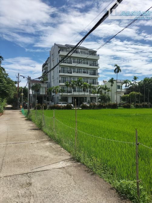 Bán đất view lúa cực đẹp – Hùng Vương, Hội An, sổ riêng, giá tốt - 1