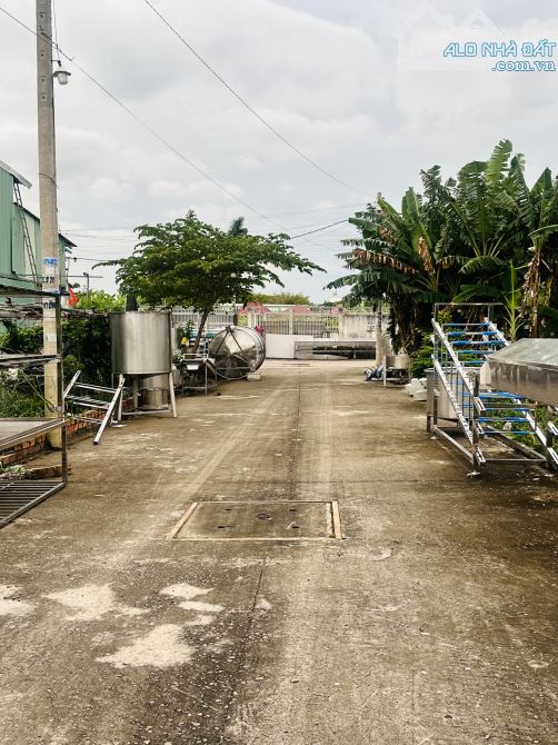Đất FULL THỔ CƯ đường THẠNH XUÂN 25 phường THẠNH XUÂN Q12 DT 106,4m2 (4x27) hẻm 6m💰4,2Tỷ - 1