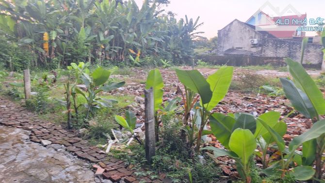 Đất An Nông 100m giá 290tr cách Trung Tâm Thị Trấn 4km - 1