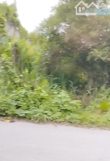 Bán đất Hương lộ 6, P. Tân Triều (Thạnh Phú cũ) 150m đường 8m - 1