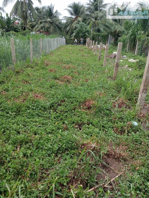 Đất thổ cư cách đường 1 quang 150met. Gần ozon - 1