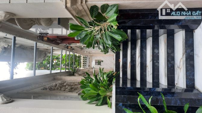 Bán biệt thự phong cách Châu Âu, 500m2, Bình Trị Đông B, Bình Tân - 1