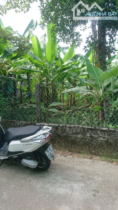 Cần bán lô đất 110m2 giá 2,81 tỷ tại 94 Tôn Thất Cảnh, P. An Cựu, TP Huế - 5