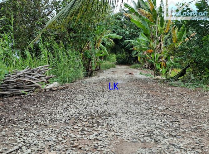 🔰Bán đất lúa: 3.200m² (34m x 94m) xã Nhị Mỹ cũ, Đồng Tháp 🔰Đường đá xe ba gác - 1